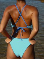 Blue Reversible Bikini Bottom - Image 2
