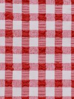 Red Gingham Underwire Bikini Top - Image 15